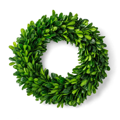 Preserved Boxwood Wreath 8 inch featuring dense lush green leaves isolated on a white background