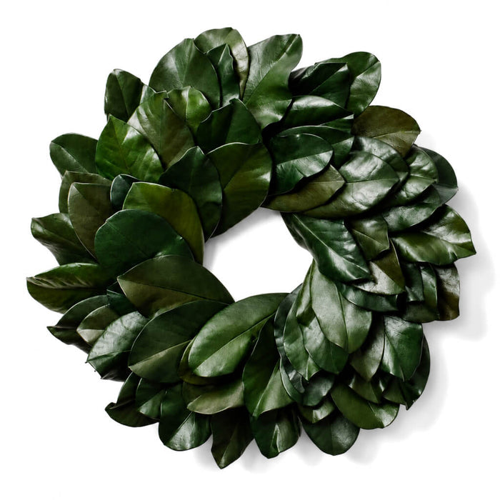Green magnolia leaf wreath isolated on white