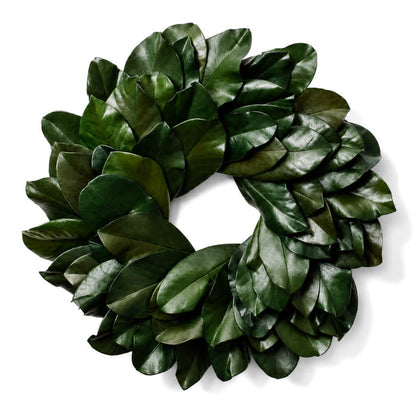 Green magnolia leaf wreath isolated on white