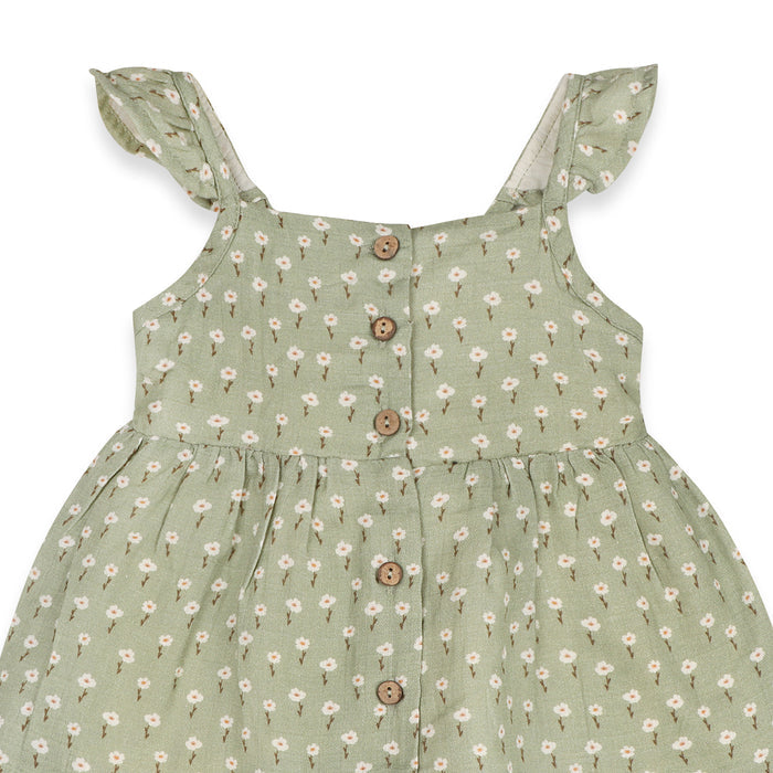 Sage Floral Ruffle Baby Dress + Bloomer Set (Organic Muslin)