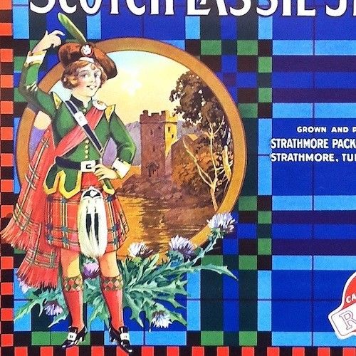 SCOTCH LASSIE JEAN California Citrus Crate Box Label