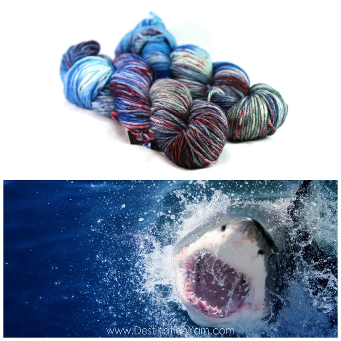 Destination Yarn fingering weight yarn SHARK INFESTED WATERS