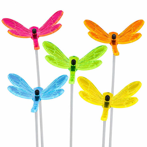 Five translucent dragonfly-shaped picks on white sticks, shown in pink, orange, green, blue, and yellow against a white background.
