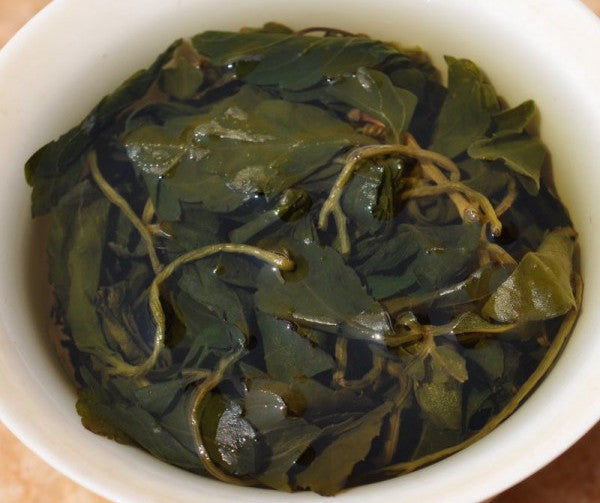 Yunnan Wild Grown Jiaogulan * Gynostemma pentaphyllum | Yunnan Sourcing Tea Shop